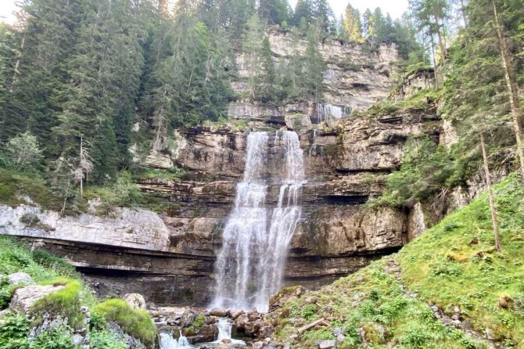 Trekking i spacery rodzinne